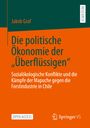 Jakob Graf: Die politische Ökonomie der ¿Überflüssigen¿, Buch