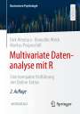 Dirk Wentura: Multivariate Datenanalyse mit R, Buch