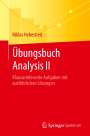 Niklas Hebestreit: Übungsbuch Analysis II, Buch