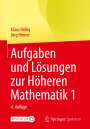 Klaus Höllig: Aufgaben und Lösungen zur Höheren Mathematik 1, Buch