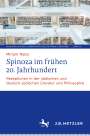 Miriam Nebo: Spinoza im frühen 20. Jahrhundert, Buch