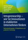 Christina Kollinger: Intrapreneurship ¿ wie Sie Innovationen in etablierten Unternehmen fördern, Buch