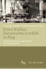 : Franz Kafkas literarisches Umfeld in Prag, Buch