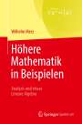 Wilhelm Merz: Höhere Mathematik in Beispielen, Buch