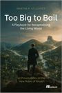 Buchtitel: "Too Big to Bail". Ein Mann steht auf einem Felsen und blickt auf bewaldete Berge und Täler mit Lichtpunkten.