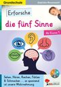 Schulbuchcover mit Köpfen und Gehirn. Text: "Erforsche die fünf Sinne", "Ab Klasse 1". Illustrationen der fünf Sinne.