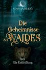 "Die Geheimnisse des Waldes. Teil 2 Die Enthüllung." Im Wald, Mond über einem Geparden. Mystische Atmosphäre.