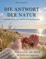 "DIE ANTWORT DER NATUR. Ein Gang am Meer" steht auf einem Cover. Eine Hand mit Hagebutten und der Strand im Hintergrund.