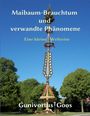 Maibaum-Brauchtum: Ein reich geschmückter Maibaum vor blauem Himmel, umgeben von Bäumen und grünem Gras.