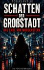 „SCHATTEN DER GROßSTADT. DAS ENDE VON MORGENSTERN. EIN PSYCHOTHRILLER“. Dunkle Skyline, Person mit langem Haar, Lichter.