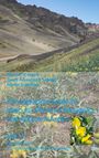 Titel: "Photographic Guide to Vascular Plants of Mongolia and Adjacent Areas Vol. 2". Autoren: Michael H. Hauck u.a. Berglandschaft mit gelben Blumen.