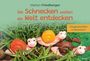 Titel: "Die Schnecken wollen die Welt entdecken". Bunte Schnecken in grünem Gras, lächeln freundlich.