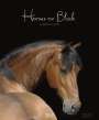 : Horses on Black 2023, KAL
