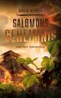 David Reimer: Salomons Geheimnis, Buch