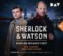 Viviane Koppelmann: Sherlock & Watson - Neues aus der Baker Street: Die Copper-Beeches-Morde (Fall 18), CD,CD