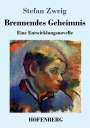 Stefan Zweig: Brennendes Geheimnis, Buch