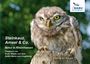 Bodo Witzke: Steinkauz, Amsel & Co., Buch