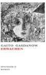 Gaito Gasdanow: Erwachen, Buch