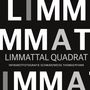 Thomas Pfann: Limmattal Quadrat, Buch
