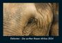 Tobias Becker: Elefanten - Die sanften Riesen Afrikas 2024 Fotokalender DIN A4, KAL