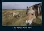 Tobias Becker: Die Welt der Pferde 2024 Fotokalender DIN A4, KAL