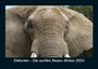 Tobias Becker: Elefanten - Die sanften Riesen Afrikas 2024 Fotokalender DIN A5, KAL