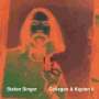 Stefan Singer: Collagen & Kopien II, Buch
