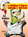 Morris: Lucky Luke 16 - Das Greenhorn, Buch