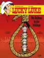 Achdé: Lucky Luke 80 - Die Daltons in der Schlinge, Buch