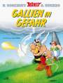 Albert Uderzo: Asterix 33, Buch