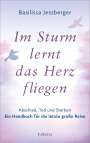 Basilissa Jessberger: Im Sturm lernt das Herz fliegen, Buch