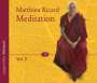 Matthieu Ricard: Meditation Volume 2, CD