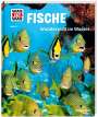 Nicolai Schirawski: WAS IST WAS Band 41. Fische. Wunderwelt im Wasser, Buch
