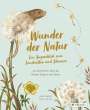 Laura Brand: Wunder der Natur. Ein Augenblick zum Innehalten und Staunen, Buch