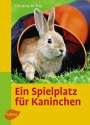 Christina Manuela Frey: Ein Spielplatz für Kaninchen, Buch