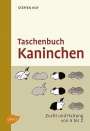 Steffen Hoy: Taschenbuch Kaninchen, Buch