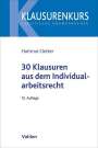 Hartmut Oetker: 30 Klausuren aus dem Individualarbeitsrecht, Buch