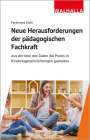 Ferdinand Klein: Neue Herausforderungen der pädagogischen Fachkraft im Epochenumbruch, Buch