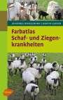 Johannes Winkelmann: Farbatlas Schaf- und Ziegenkrankheiten, Buch