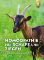 Christine Erkens: Homöopathie für Schafe und Ziegen, Buch
