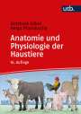 Gotthold Gäbel: Anatomie und Physiologie der Haustiere, Buch