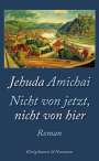 Jehuda Amichai: Nicht von jetzt, nicht von hier, Buch