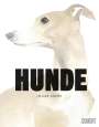 Angus Hyland: Hunde in der Kunst, Buch
