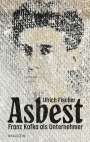 Ulrich Fischer: Asbest, Buch