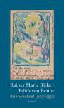 Rainer Maria Rilke: Briefwechsel 1907-1919, Buch