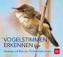 Andreas Schulze: Vogelstimmen erkennen / CD, CD