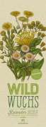 Anne Pratt: Wildwuchs - Botanische Illustrationen - Graspapier-Kalender 2023, KAL