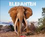 : Elefanten Kalender 2025, KAL