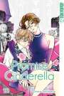 Oreco Tachibana: Promise Cinderella 12, Buch