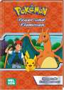 : Pokémon Lesebuch: Feuer und Flammen, Buch